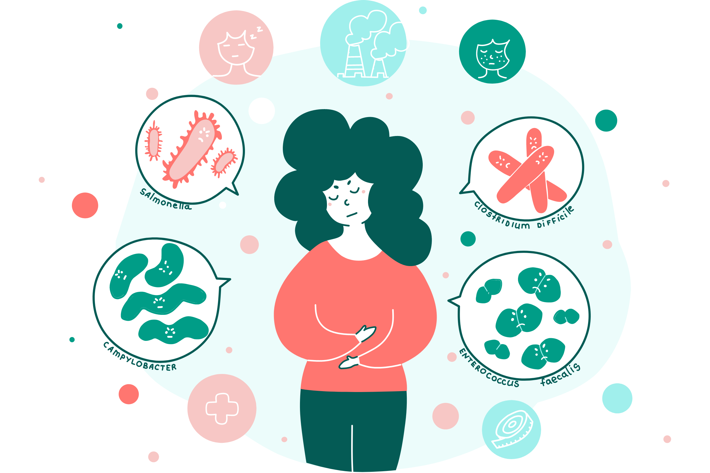 Gut health and rosacea is affected by bad bacteria including: Campylobacter, Enterococcus Faecalis, and Clostridium Difficile which  are often associated with leaky gut, disease, and infection.