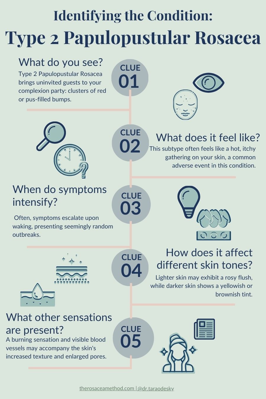 Infographic comparing Type 2 Papulopustular Rosacea vs Acne, featuring five clues to differentiate them. Clue 1: Type 2 Papulopustular Rosacea presents as clusters of red or pus-filled bumps, typically appearing after age 30. Clue 2: It feels like a hot, itchy sensation on the skin, especially upon waking. Clue 3: Symptoms may intensify in the morning and outbreaks can seem random. Clue 4: Skin tone affects appearance, with lighter skin showing a rosy flush and darker skin a yellowish or brownish tint. Clue 5: Other sensations include a burning feeling, visible blood vessels, and possibly thickened skin with enlarged pores. Visit therosaceamethod.com for more information.
